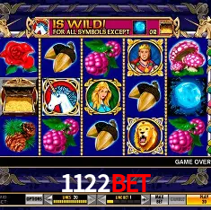 Experiência VIP 1122bet